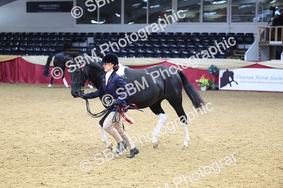 SBM_23050 - Class 903 - Supreme Final - IH Pre Vet