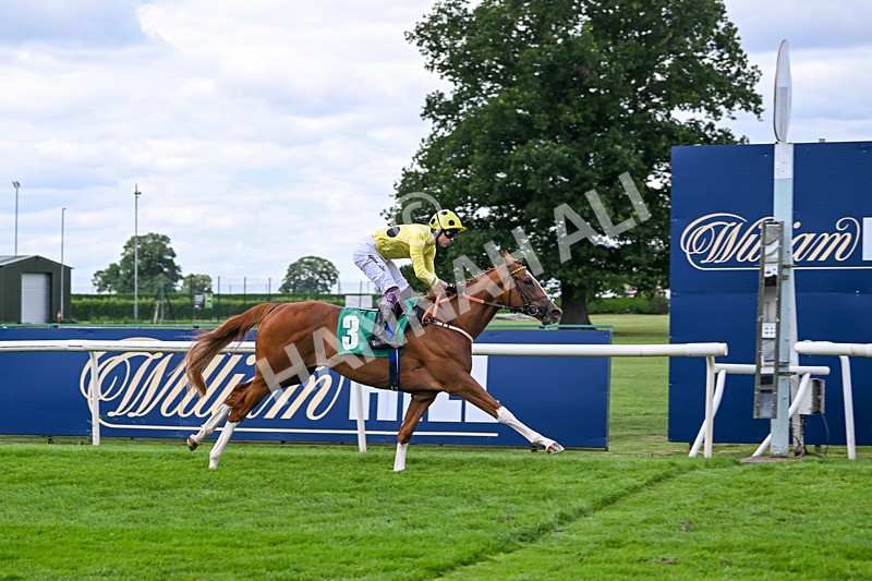 020825-Race 2-Zeus Olympios-2650 - Race 2