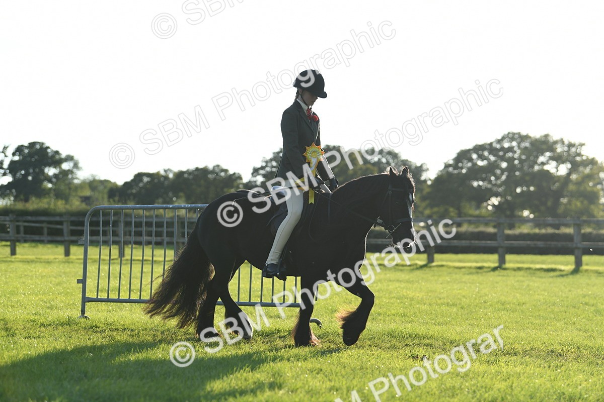 SBM_54212 - S23 - 1st Ridden Mountain & Moorland Pony