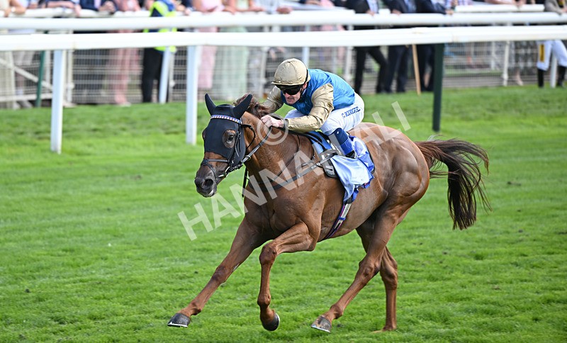 220826-009 Archivist - Race 1 13.50pm Sky Bet Strensall Stakes