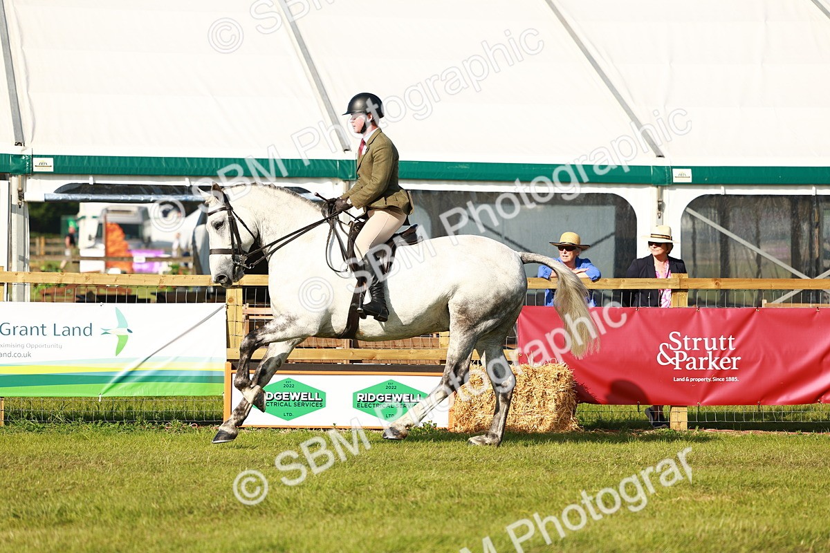 SBM_10807 - Class 66-69 - RIHS Ridden Hunters Inc Small Hunter