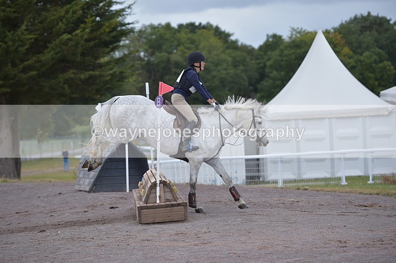 NGP_2282 - XC Time 11:20 to 11:36