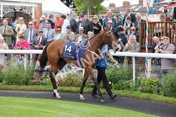 yr20082021r4-68 - Race 4 3.35pm Coolmore Wootton Bassett Nunthorpe Stakes (British Champions Series Race)