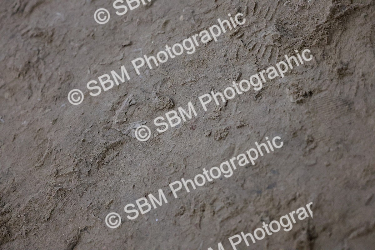 SBM_003925 - Class 12 - National B&C Handicap Champs Qualifier 1.25m 1.30m