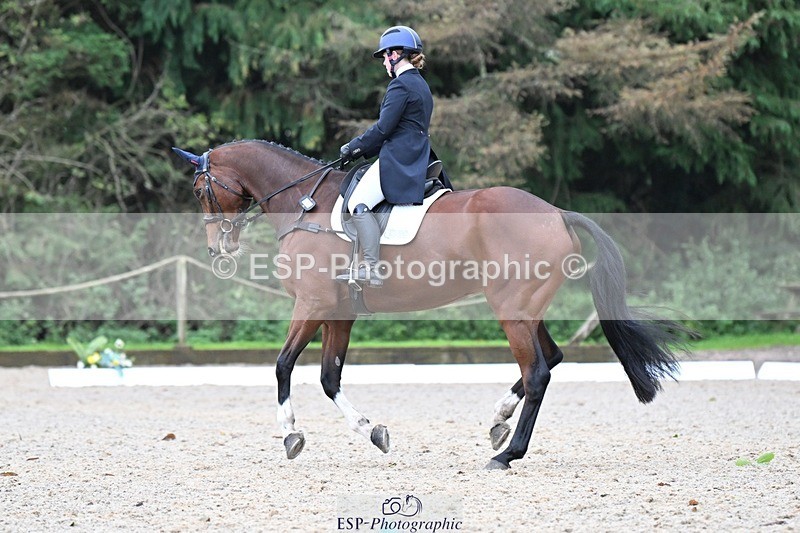 231019-113918-01868 - 040-DODINGTON-Sophie.Wildern-DR