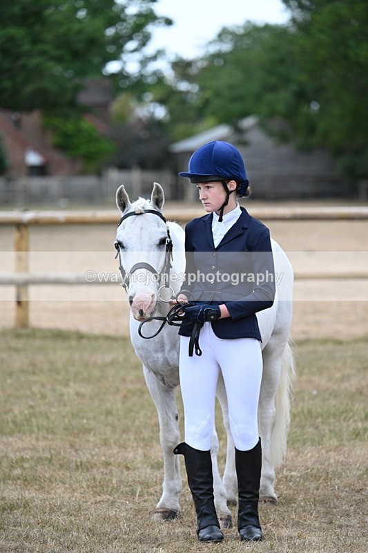 WJ7_9497 - Class 5 Most Handsome Gelding (up to 14.2hh)