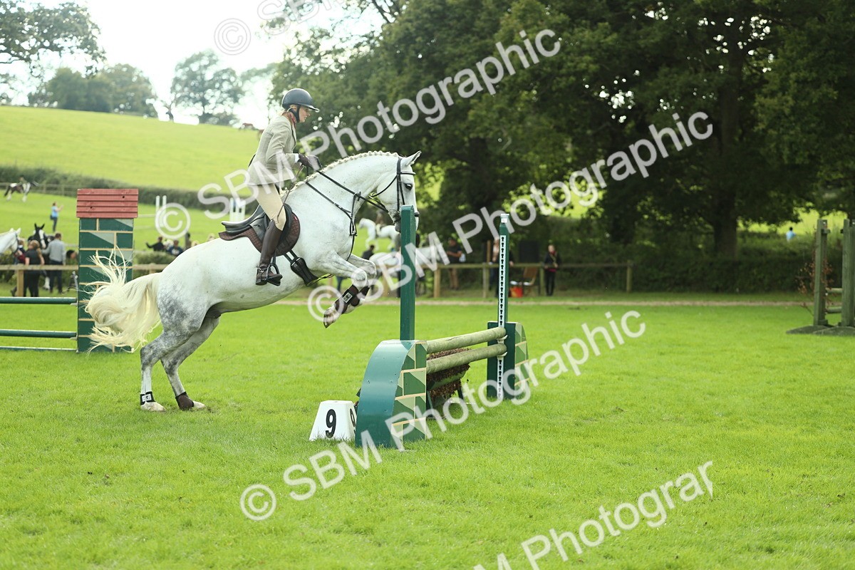 SBM_47995 - S32 - Novice & Newcomers Working Hunter