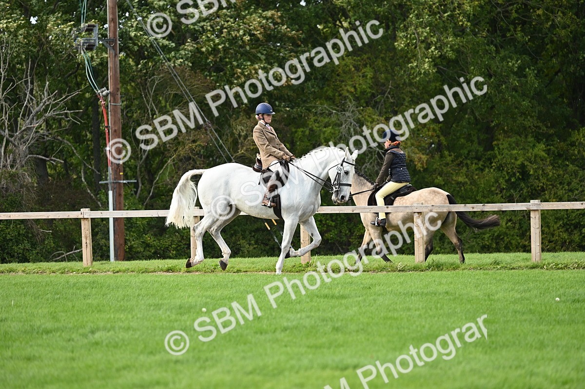 SBM_26399 - S6 - Novice & newcomer Ridden horse