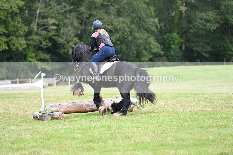 WJ7_7903 - 40cm Time 10:49 to 11:18