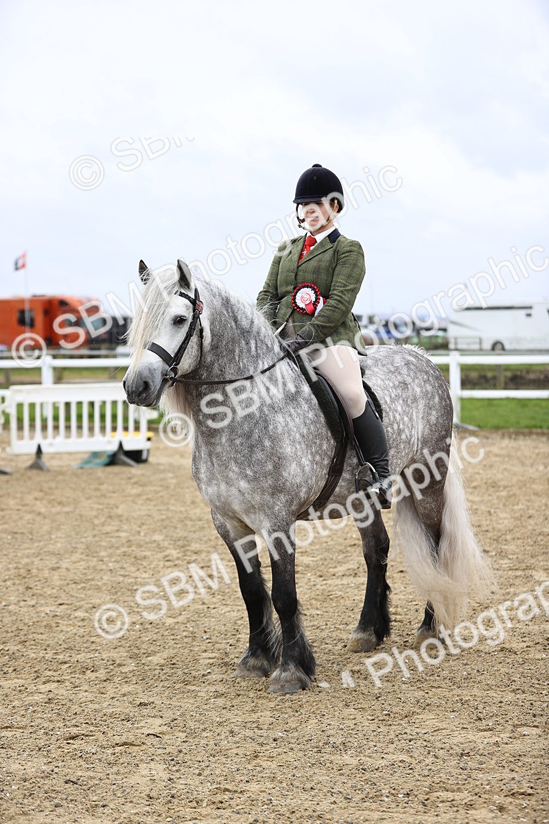 SBM_007604 - Class 31-32 - M&M Confined Novice Small-Large