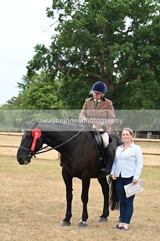 WJ7_7946 - Class 3 Family Mount