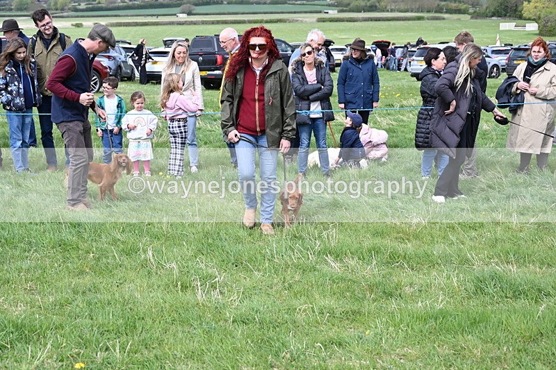 WJ6_8326 - Class 4 Prettiest Bitch