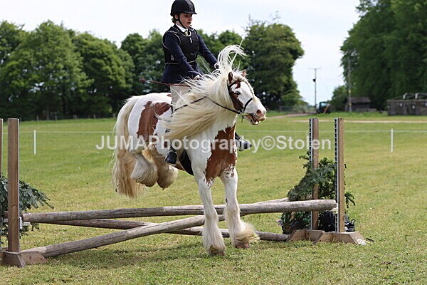 IMG_3053 - Working Hunter