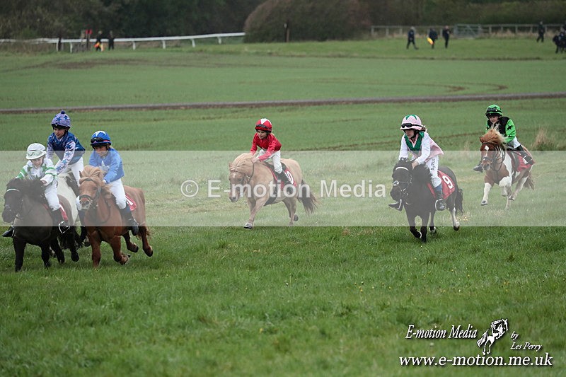 SHETPR 210425 161 - Shetland Ponies Paxford Races 21/04/25