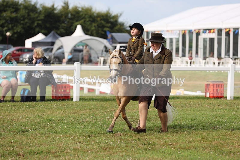 JPP_0394 - Class 14: Cornish Combination Leading Rein