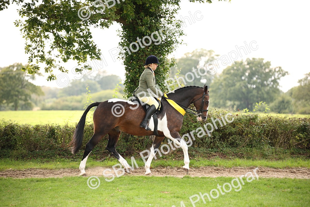 SBM_73618 - Ridden Horse Supreme Championship