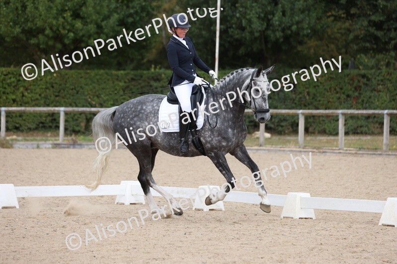 20250820-0816 - Class 15 - Novice 4