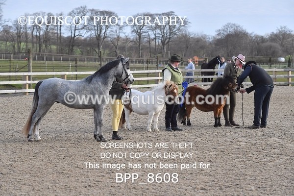 BPP_8608 - RING 2 - M&M