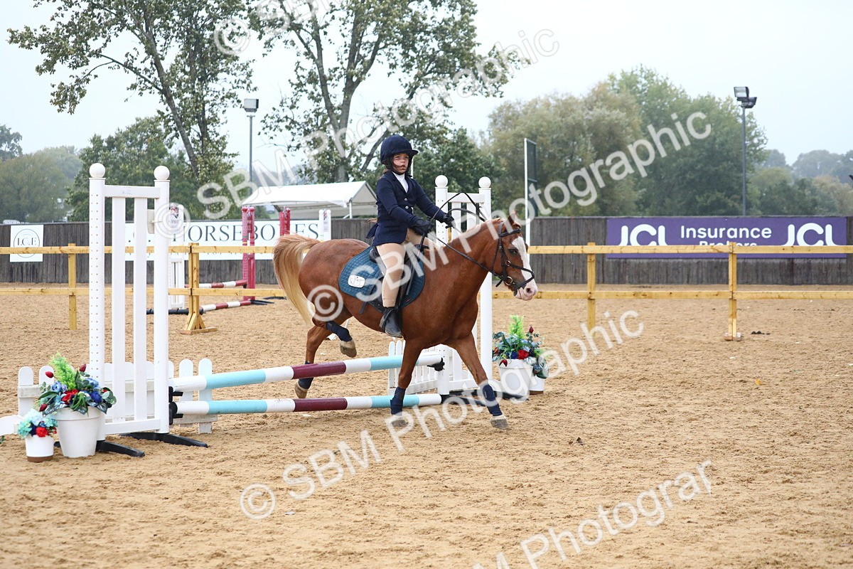 SBM_71659 - J4 - Mini Tour Junior Pony 45cm Championship