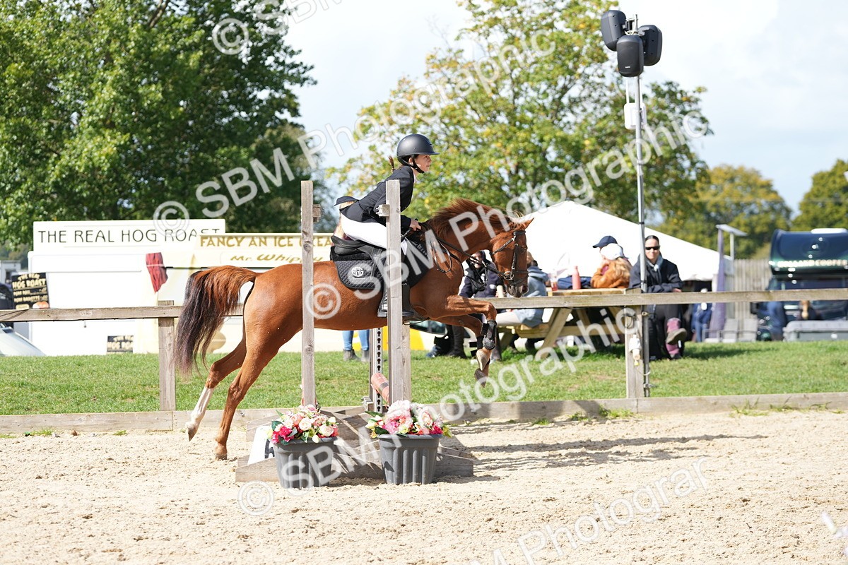 SBM_18122 - J58 - Clear Round 50cm