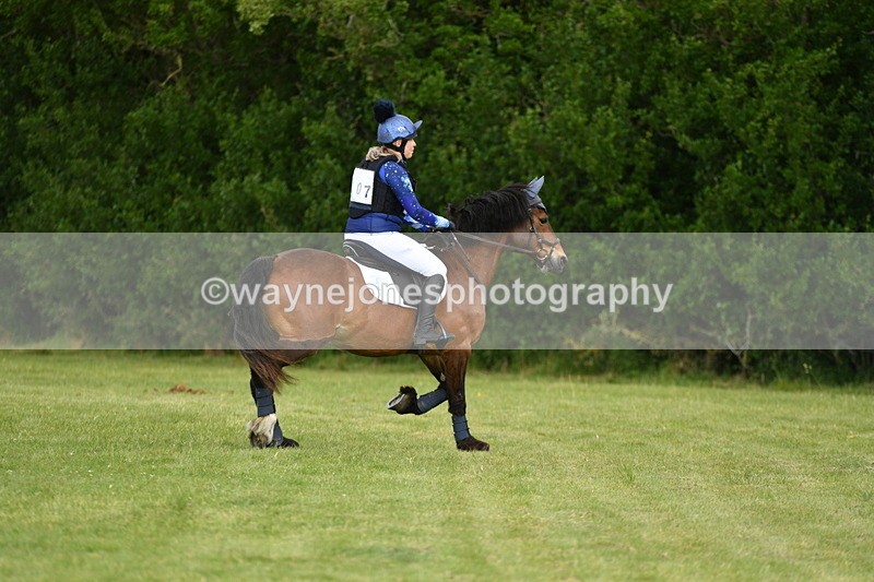 WJ5_2417 - Class 2 40cm