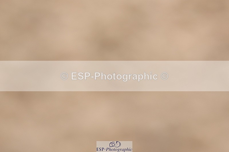 240622A-095135-07893 - Cls 26 BD Novice 22