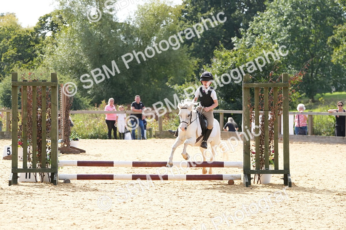 SBM_68413 - J3 - Mini Tour Junior Pony 40cm Championship