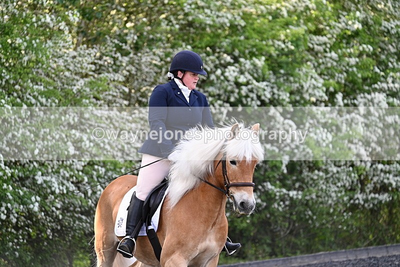 WJ7_7999 - Time 10:11 to 10:27