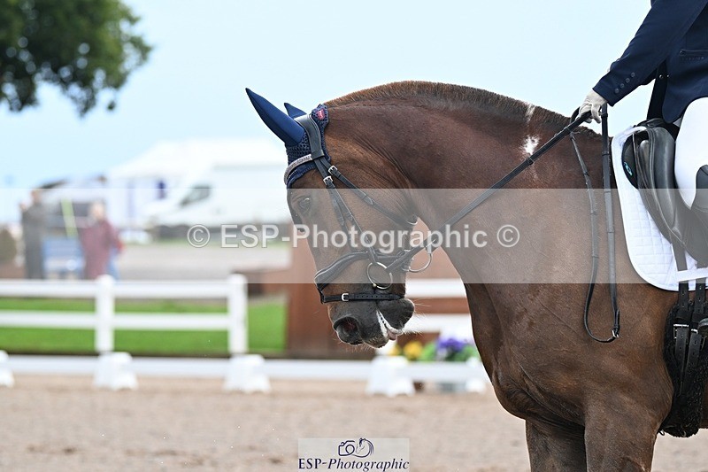 250907-105828-07071 - 017-Natalie.RosewarnePenpont.Fancy.That