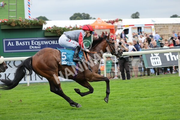 yr04092022r1-34 - Race 1 1.45pm IRE Incentive, It Pays To Buy Irish EBF Novice Stakes