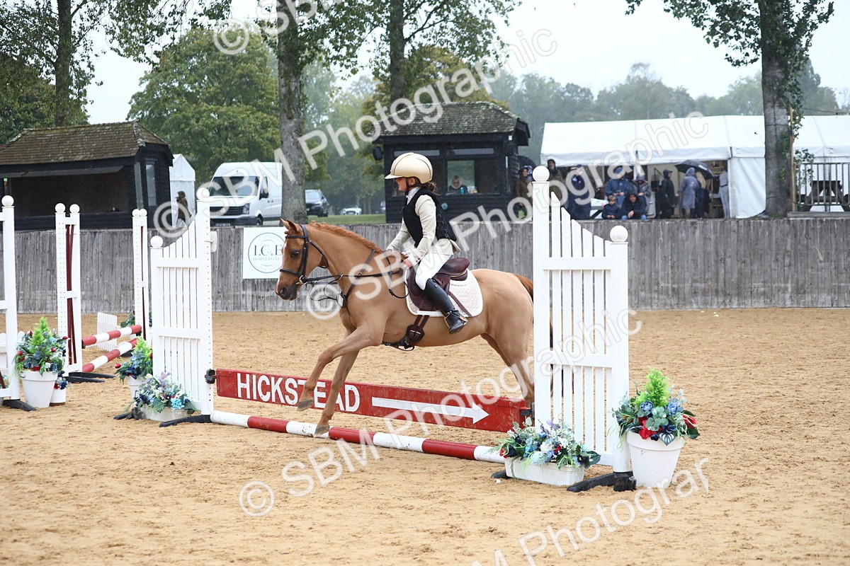 SBM_71743 - J4 - Mini Tour Junior Pony 45cm Championship