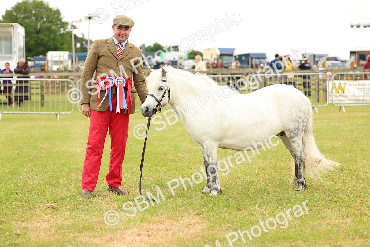 SBM_03582 - Class 58-67 - M&M Non Welsh Pony In hand