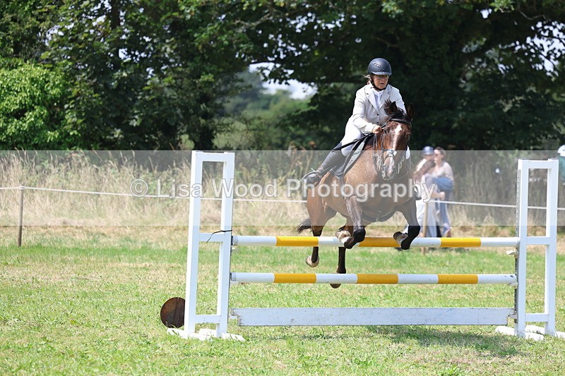 3E7A2845 - Class 7: Senior British Novice/90cm open