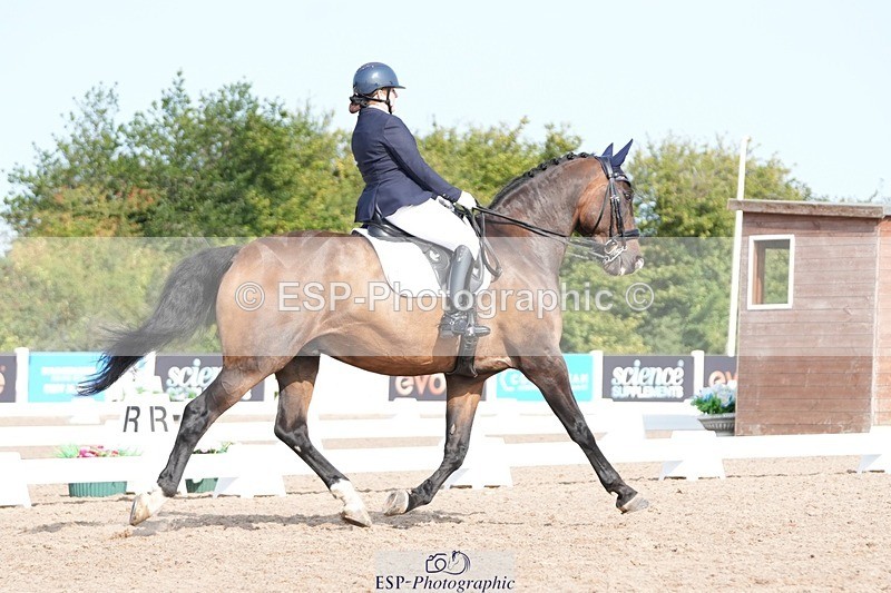 250815-101002-00347 - 008-Deborah.NewmanLegolas