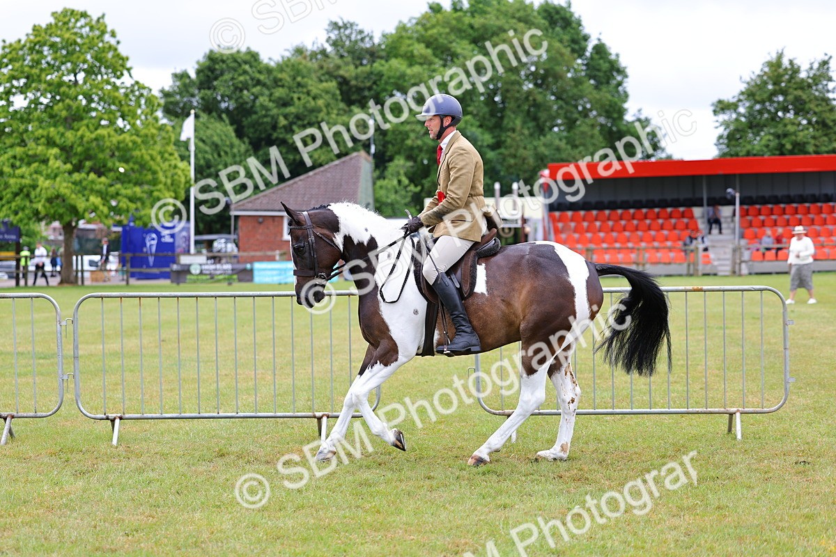 SBM_02639 - Class 9-11 Side Saddle including LIHS Rising Star Ladies Show Horse