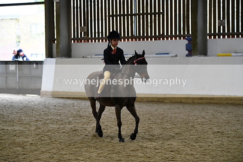 WJ5_6949 - Class 10 Childs Pony