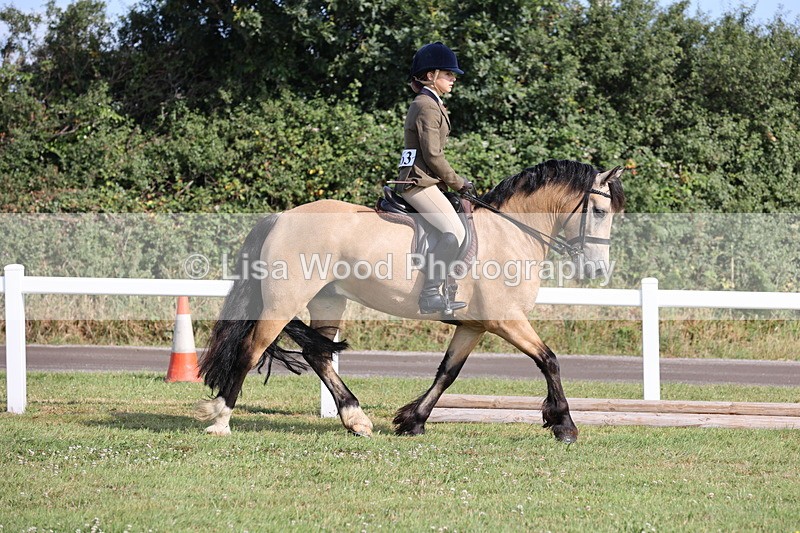 JPP_0629 - Class 16: Cornish Combination Young Rider