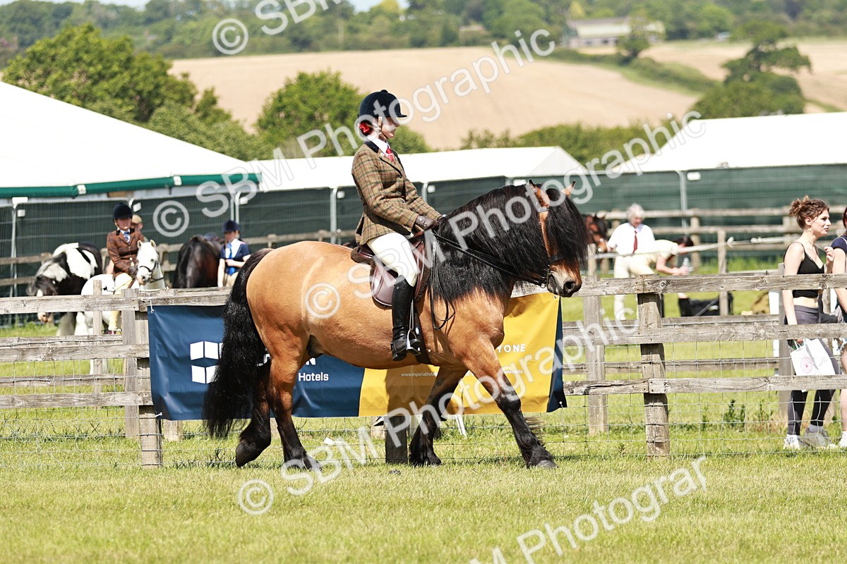 SBM_07027 - Class 26-30 - Mountain and Moorland Ridden