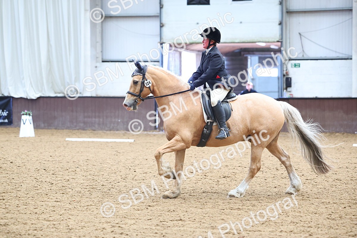 SBM_005410 - Class 3 - Novice 5