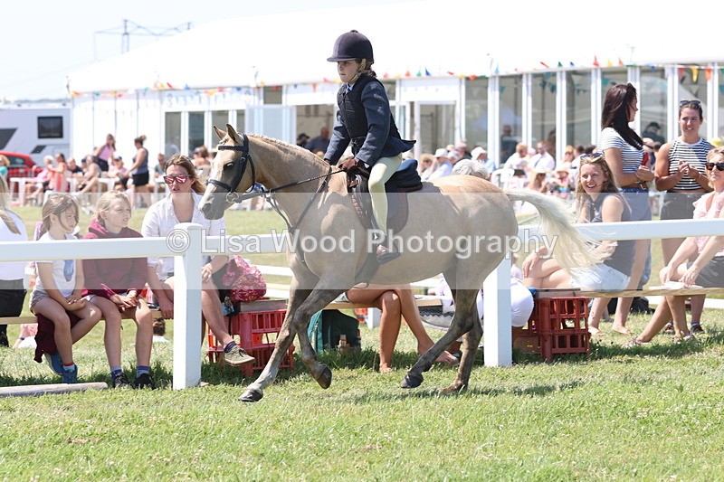 JPP_2321 - Class 20: Tiny Tots Working Hunter Pony
