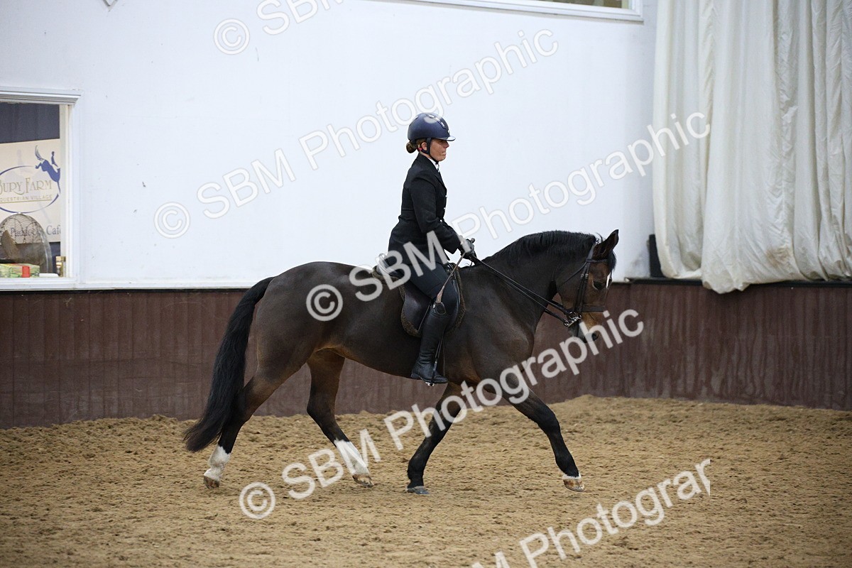5K7A6071 - Class 48 - Ridden Mare