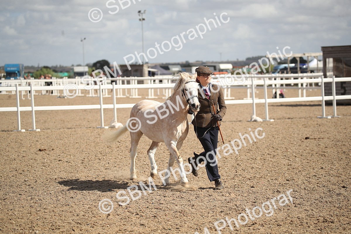 SBM_23426 - Class 604 - 2026 - Area IH Diamond