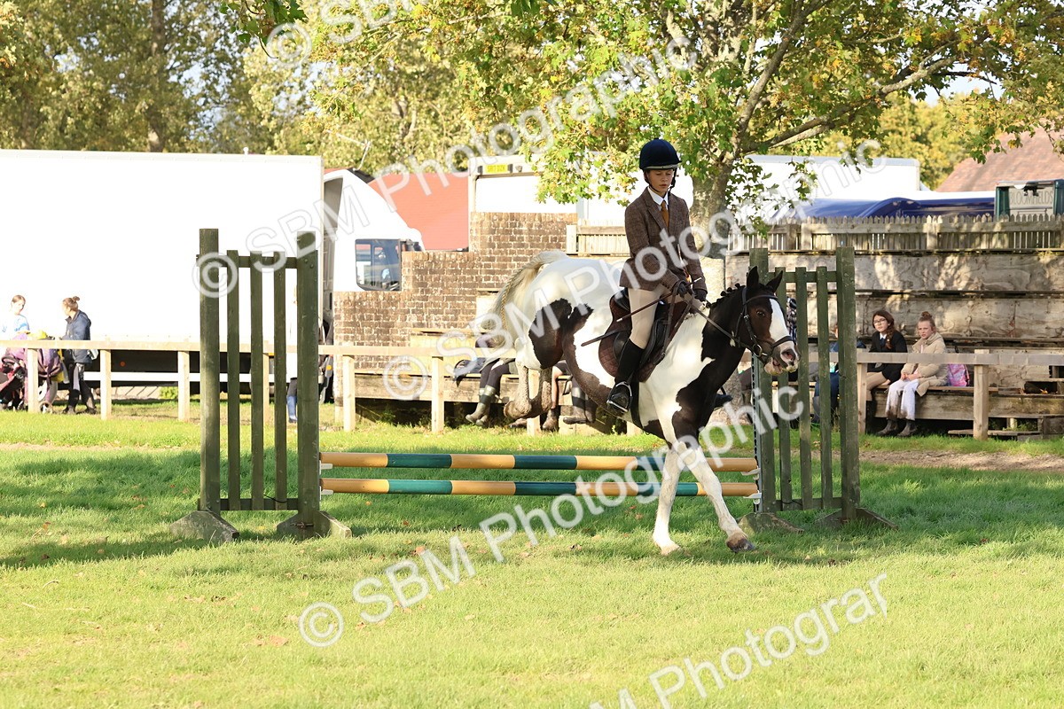 SBM_52603 - S13 - Pony Club Pony