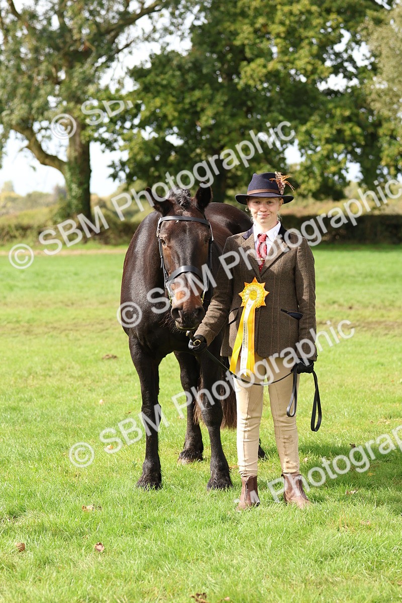 SBM_40798 - S25 -  Veteran In Hand