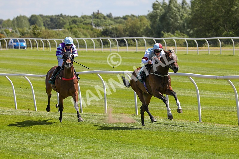 080624-Race 2-Patontheback-4611 - Race 2