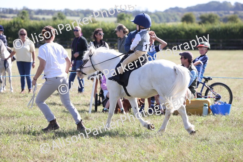 20260906-2290 - Class 16 - Family Pony