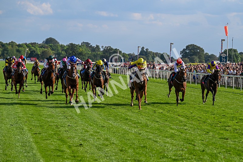220826-Race 7-Raammee-1852 - Race 7 17.20pm Sky Bet Dav Reid Finale Handicap