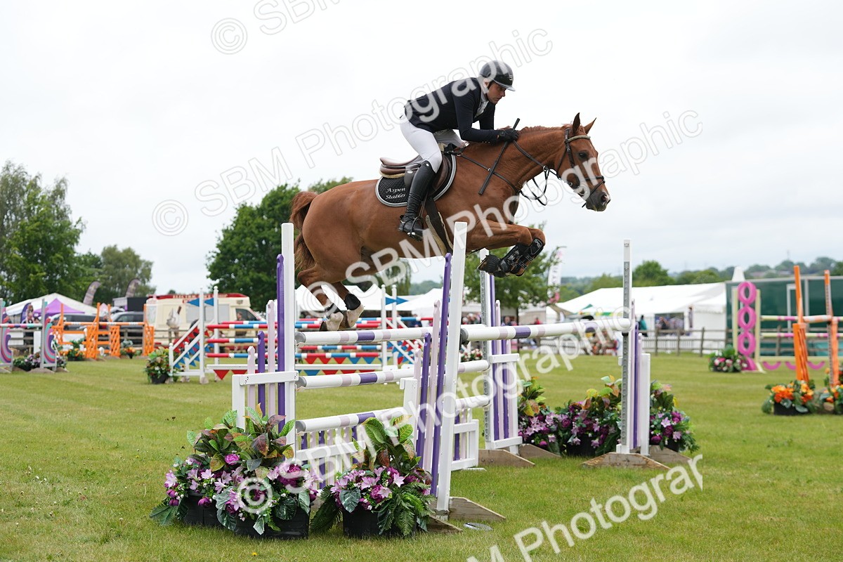 SBM_03024 - Class 201 - British Horse Feeds Speedi Beet Horse of the Year Show Grade  C