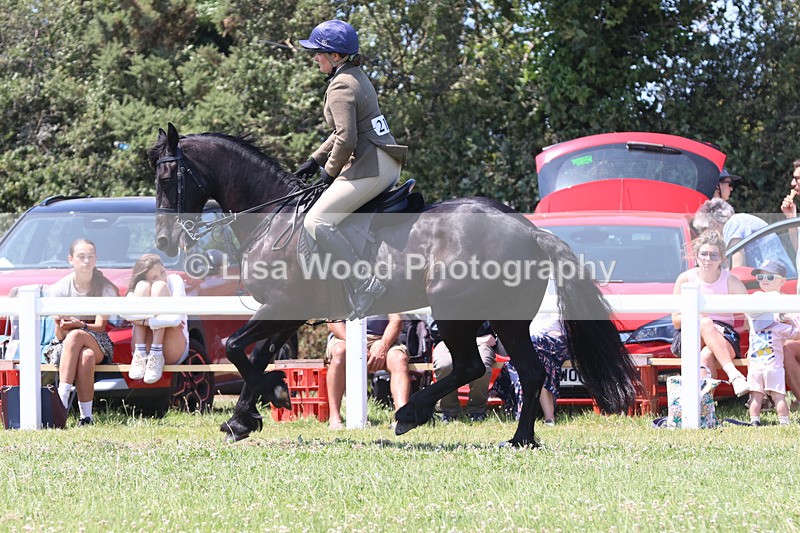 JPP_2803 - Class 21: Working Hunter 60cm