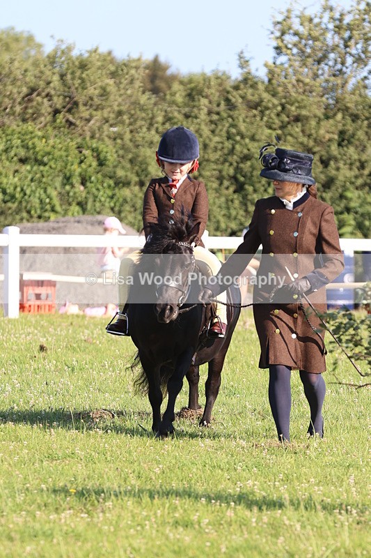 JPP_0860 - Class 16: Cornish Combination Leading Rein
